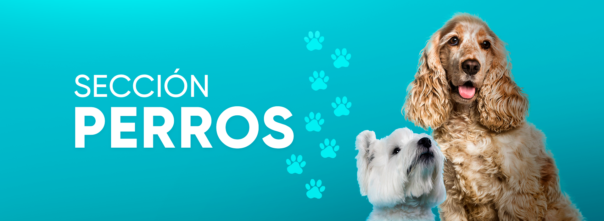 Sección Perros
