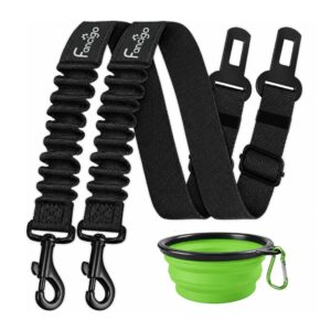Pack Fancigo 2 Arnés Ajustables Negros Para Coche Y Un Plato Plegable Verde