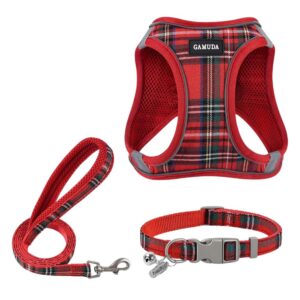 Pack Pechera, Correa Y Collar Gamuda Rojo Talla M
