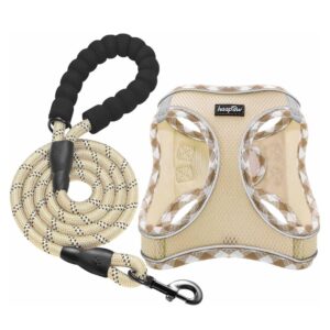 Pack Arnés Y Correa Haapaw Color Beige Talla M