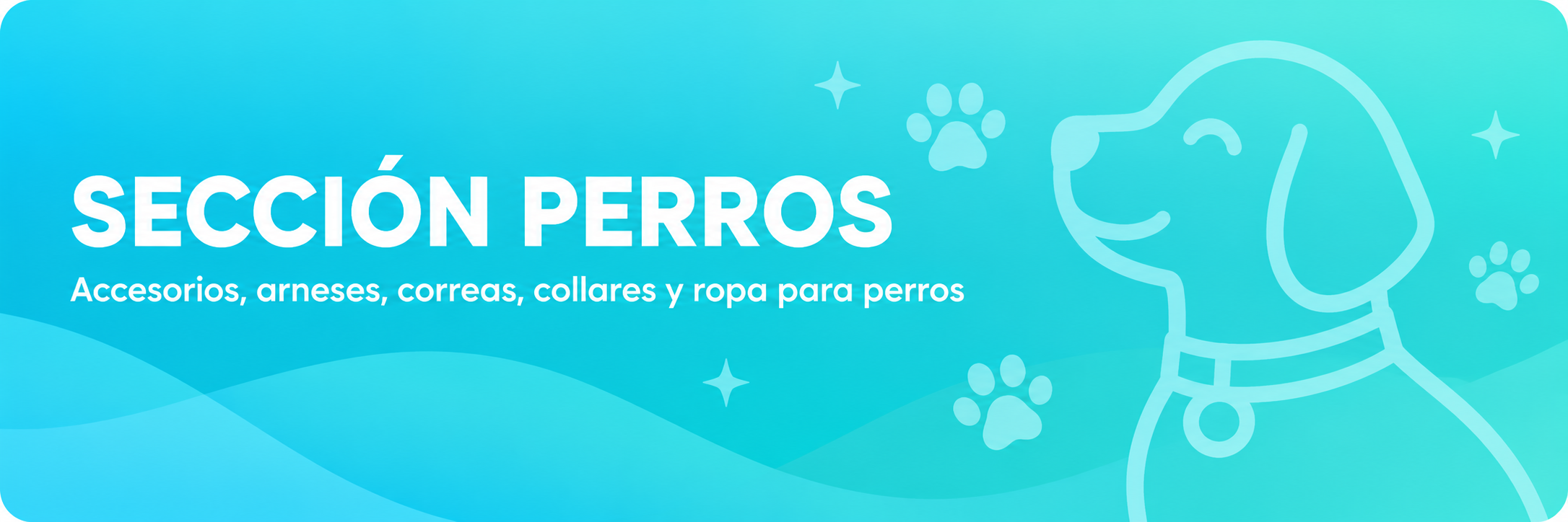 Sección Gatos
